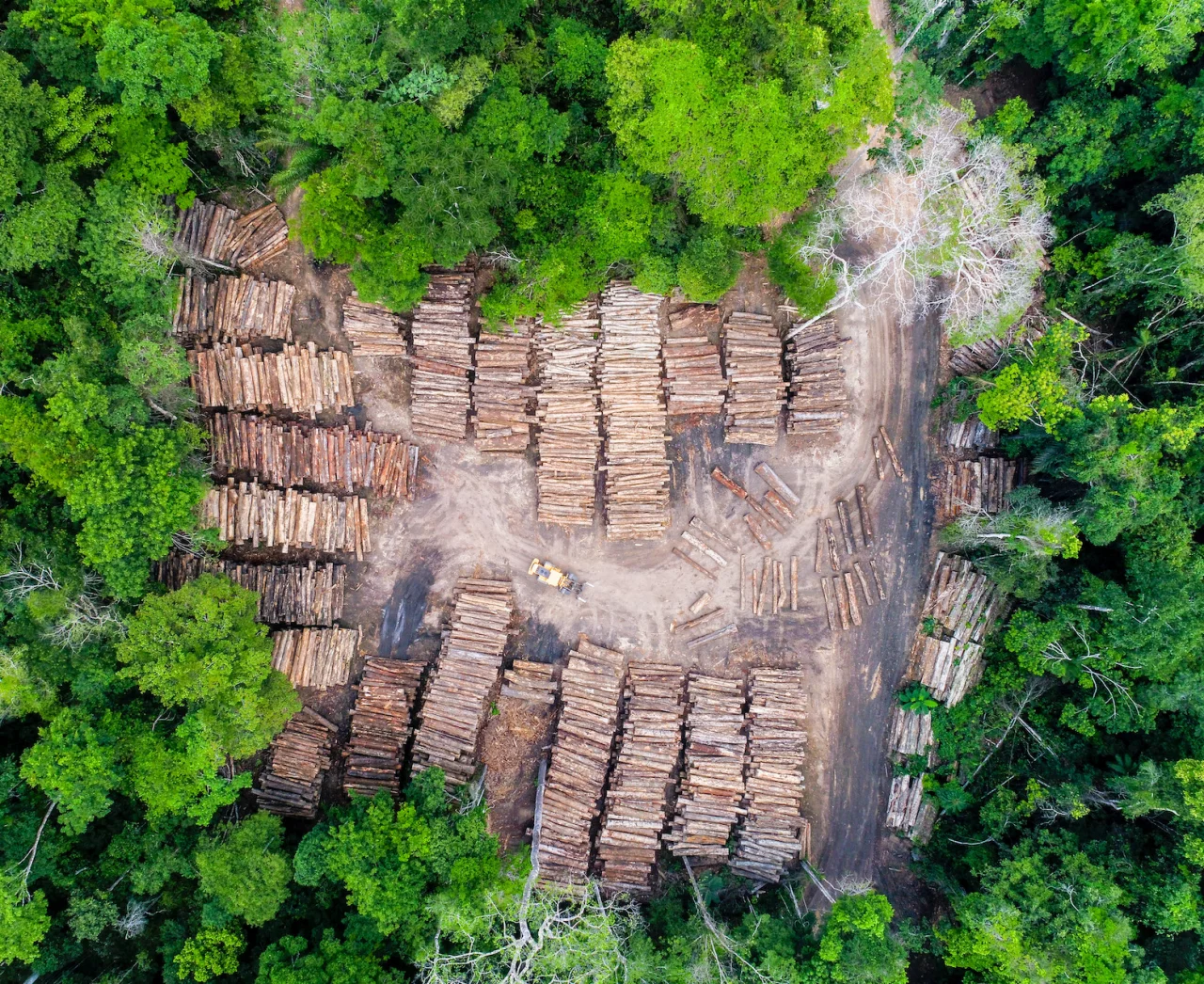 Aerial view of deforestation