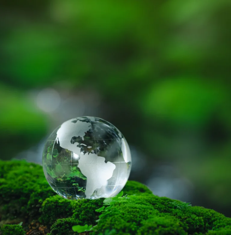 Globe resting on moss