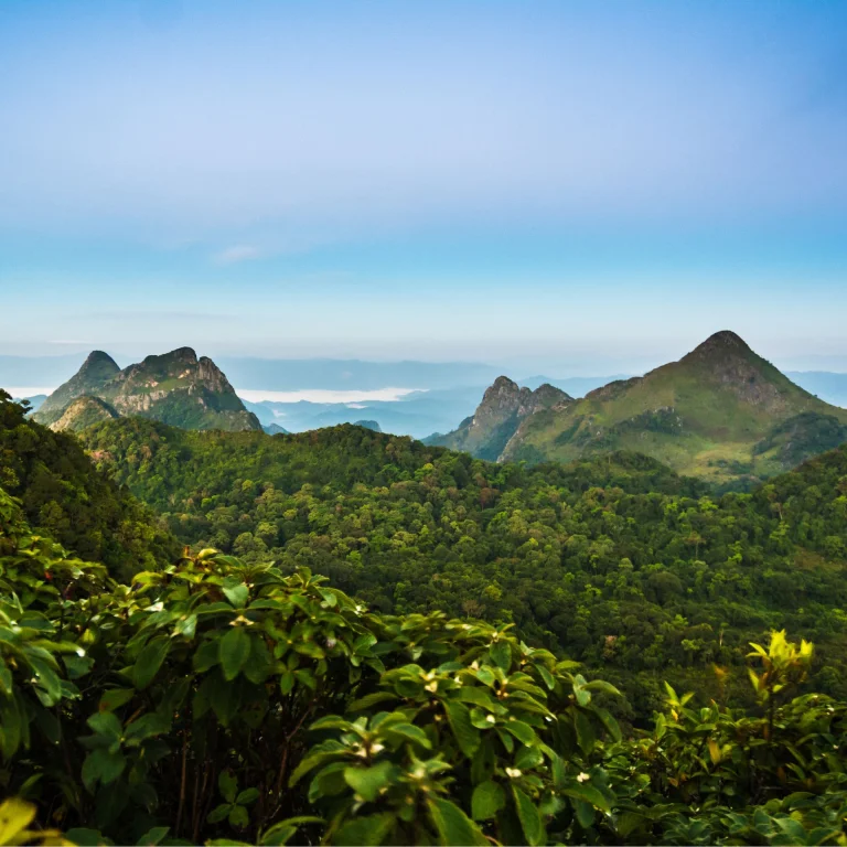Mountains
