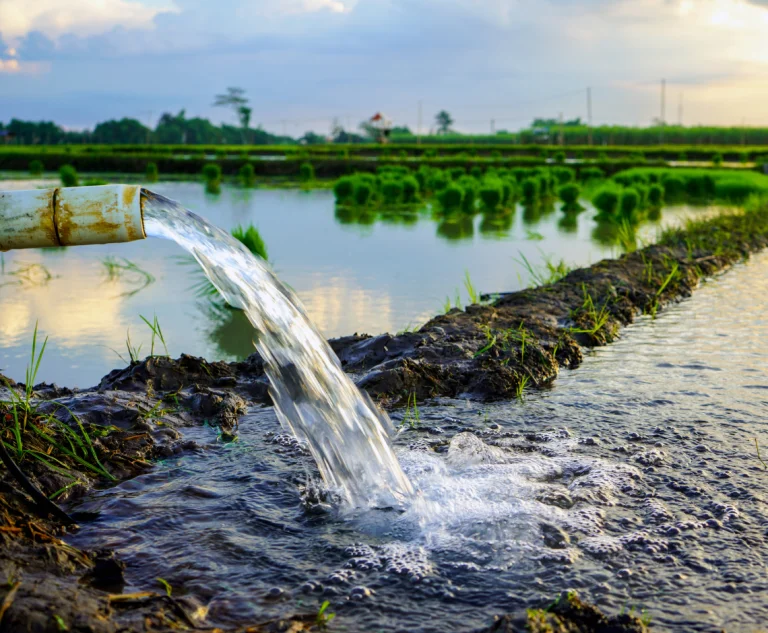 Pipe dispersing water