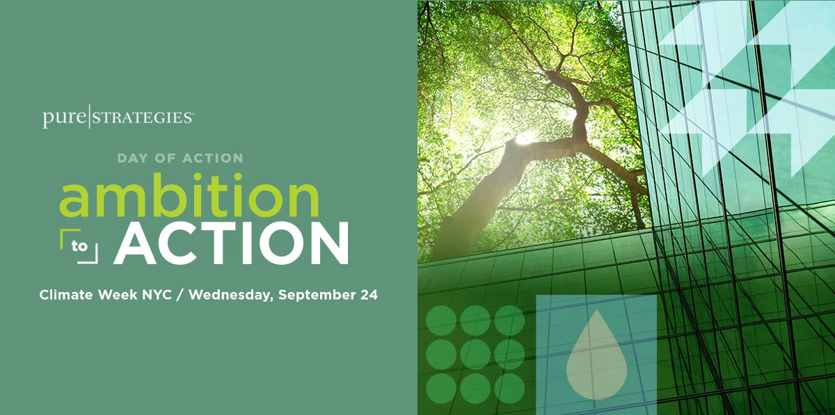 Day of Action (Pure Strategies)